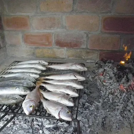 公寓 布兰奇公寓酒店 扎达尔